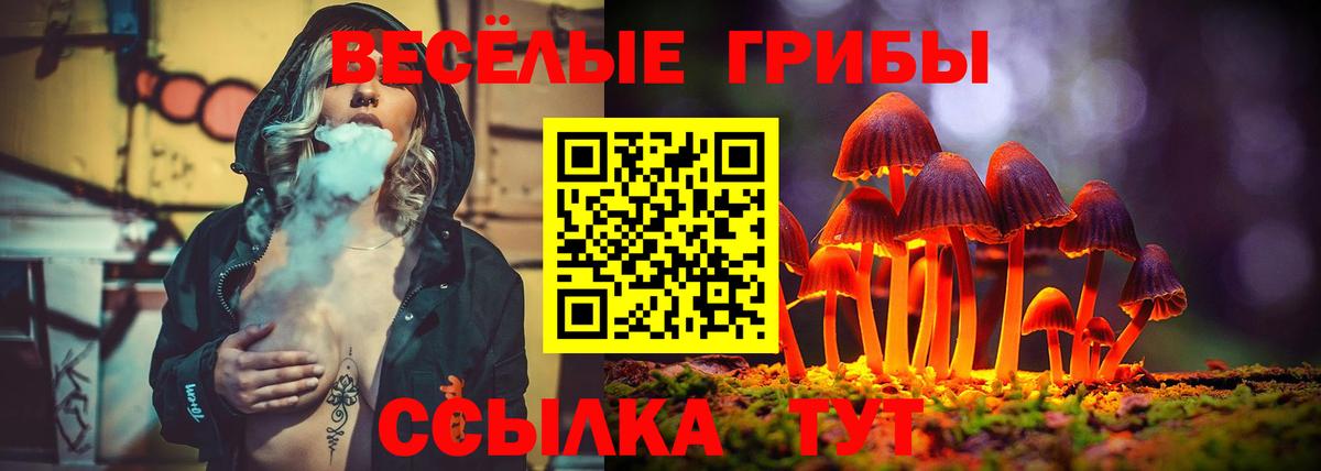 Псилоцибиновые грибы Psilocybe Пушкино