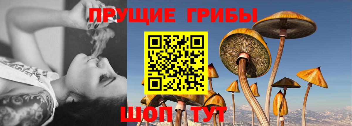 закладки  Вход с VPN  Пушкино  Галлюциногенные грибы Magic Shrooms 